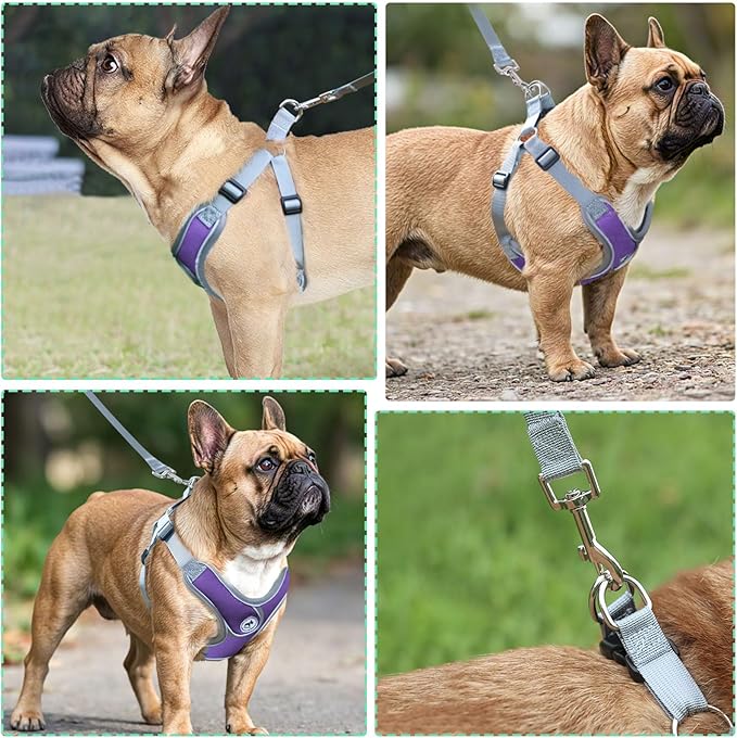 Dog Harness with Leash Set, Adjustable Step in Collars Harness with Breathable Padded Vest for Large Dog Training and Running (L, Purple)