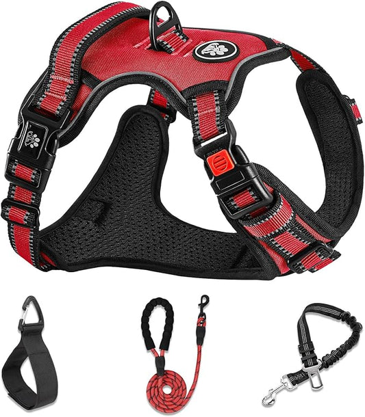 NESTROAD No Pull Dog Harness,Adjustable Oxford Dog Vest Harness with Leash,Reflective No-Choke Pet Harness with Easy Control Soft Handle for Small Dogs(Small,Red)