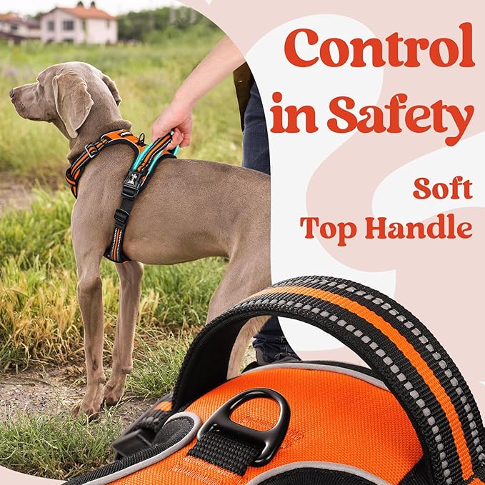 rabbitgoo Dog Harness Small Sized, No Pull Pet Harness with 3 Buckles, Adjustable Soft Padded Vest with Control Handle, Walking Reflective Pet Vest for Small Dogs, Orange, S