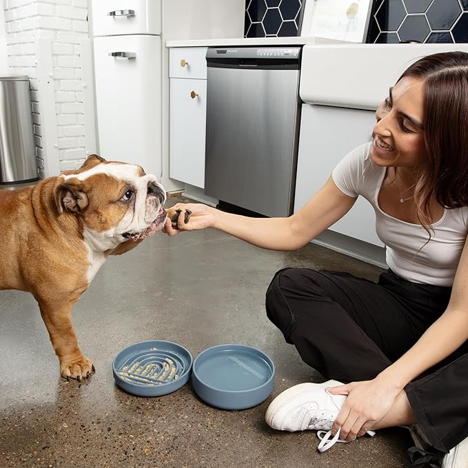 Should We Go? Slow Feeder for Dogs & Puppies, The Slowdown Bowl Silicone Slow Eating, Modern Lick Mat Design, Reduces Gulping, Fits 2 Cups, 7.5” Across x 1.5” Tall, Mealtime Challenge, Medium-Sage