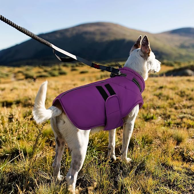IECOii Winter Dog Coats for Large Dogs, Dog Snow Jacket with Built in Collar & Reflective Strips, Warm Windproof Fleece Dogs Jacket for Cold Weather, Adjustable Easy On Pet Snowsuit, Purple - XL