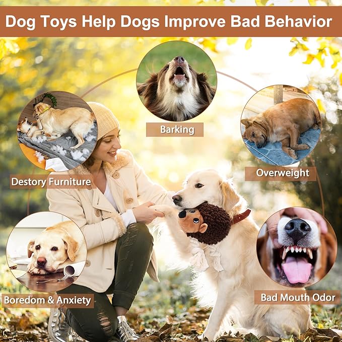 Dog Squeaky Toys for Dogs - Hedgehog Mop Plush Interactive Rope Toy, Durable Chew Toy with Squeaker and Crinkle for Small to Large Dogs, Tug of War Pet Toy for Puppies & Aggressive Chewers