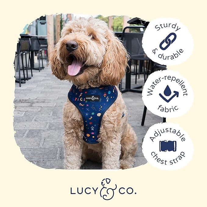 Lucy & Co. Cute Reversible Dog Harness Walking Halter - Best Designer Pet Harnesses Extra Small Medium Large XL Dogs Plus Pug Breeds - Padded Adjustable Puppy Vest Easy Walking (Space Doodle, Small)