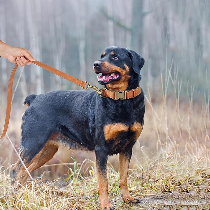 Didog Soft PU Leather Dog Collar, Stylish Quick Released Dog Collar for Large Dogs, Easy Clean Adjustable Pet Collar for Daily Walking, Light Brown, L Fit 15-23" Neck