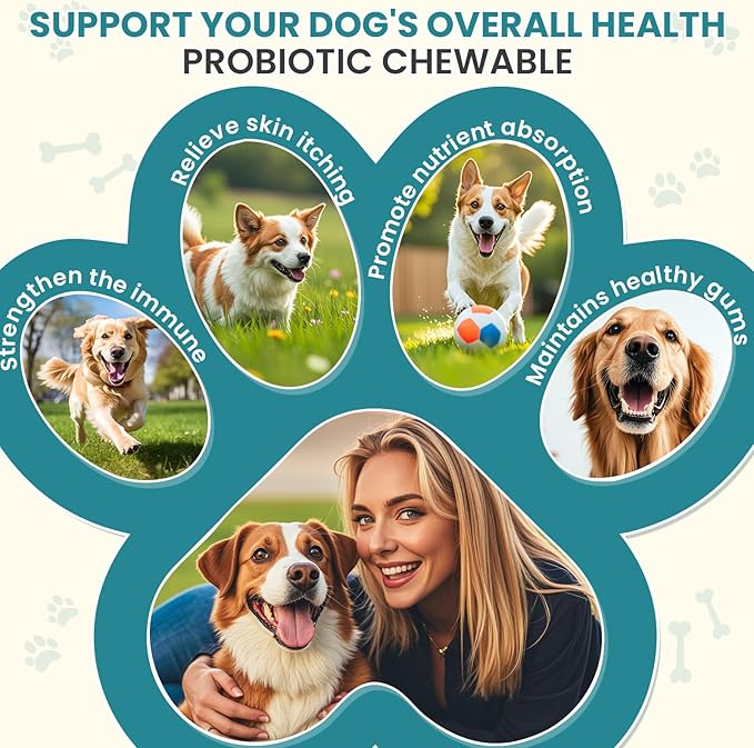 Probiotics for Dogs Gut Digestive Health Probiotic Chew for Dogs Digestive Enzymes Relieve Diarrhea Immunity Oral Problems Itching Constipation Prebiotics Dog Probiotics 200 Tablets Chicken Flavor