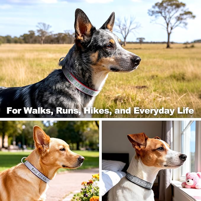 Personalized Dog Collar with Embroidered Name & Phone Number – Custom Adjustable Nylon Collar for Small Medium Large Dogs – Reflective Pet Collar with Quick Release Buckle