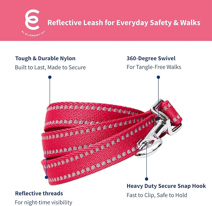 Blueberry Pet Essentials Reflective Dog Collar & Leash Set, Adjustable for Large Dogs | Safe Walking Gear for Pet Parents, Puppy Training & Daily Use LargeDogs, Very Berry