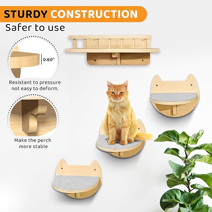 Cat Wall Shelves with 3 Steps – Modern Wood Wall Mounted Furniture, Climber & Perch Shelf for Cats up to 30lbs – Sturdy Floating Bed for Large Cats