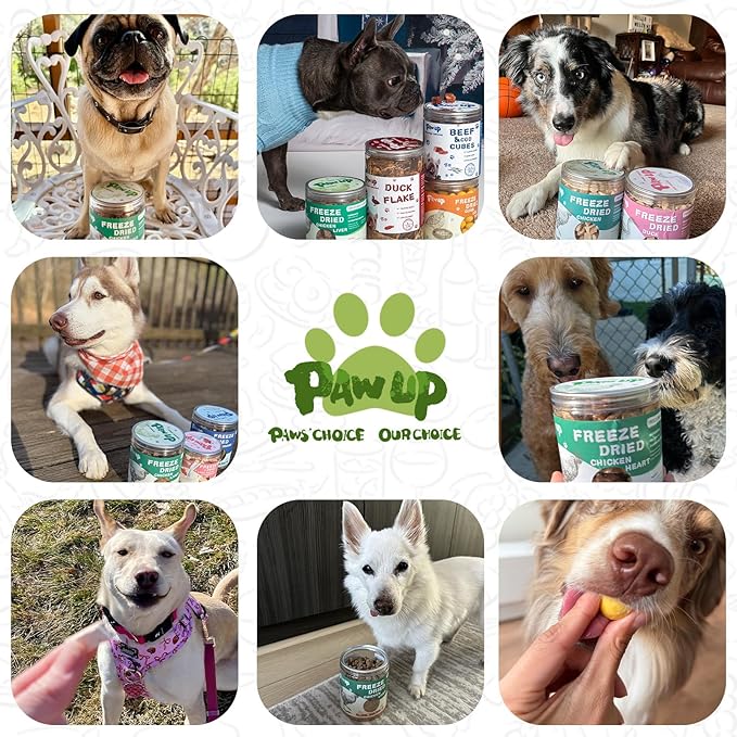 PAWUP Freeze Dried Cat Treats, Raw Chicken Food for Dogs Cats, Single Ingredient, High Protein Natural Healthy Topper, 3.8 oz