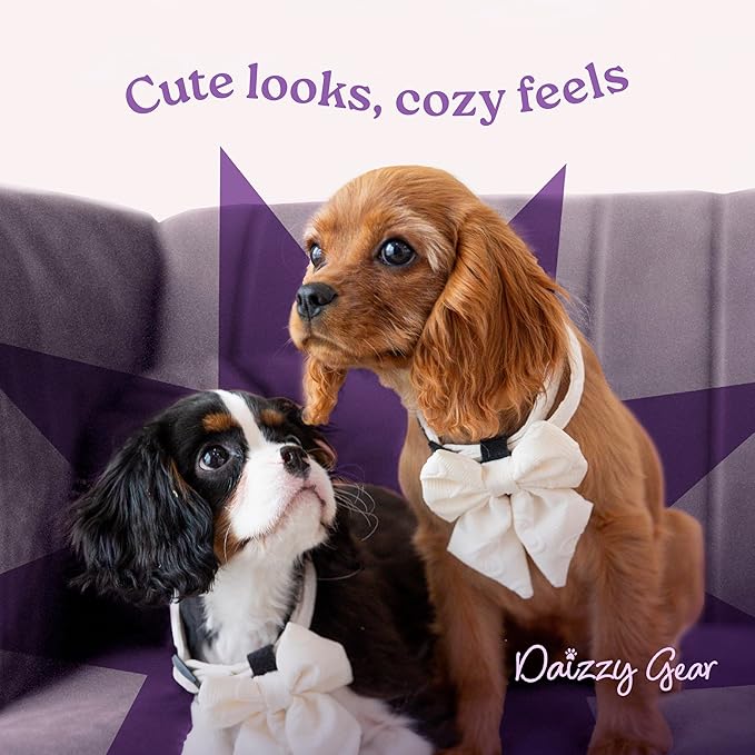 Retractable Dog Leash for Small, Medium & Large Dogs – Heavy-Duty, Tangle-Free, Reflective, 16FT Long, Anti-Slip Soft Handle with One-Hand Brake - 44 LBS /16FT - Small - Pink