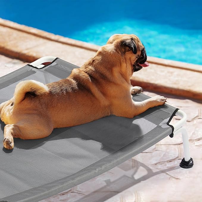 Veehoo Elevated Dog Bed for Outdoor, Cooling Waterproof Raised Dog Cots Beds for Medium Dogs, Curved Off Ground Pet Hammock Cot Lifted for Outside, up to 65lbs, White Legs, Grey 32"