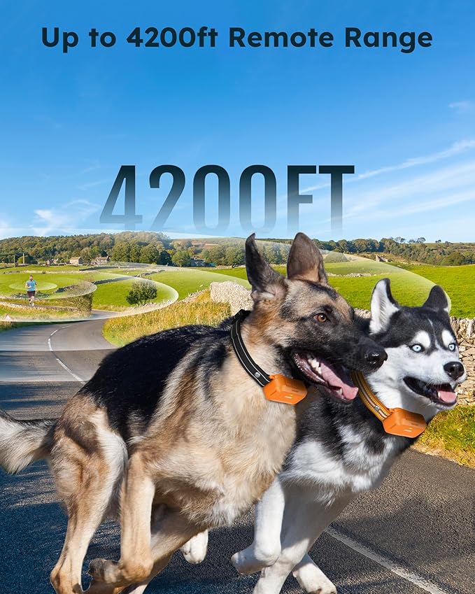 Jugbow Dog Shock Collar 2 Dogs (10-120Lbs) - 4200FT Dog Training Collars with Remote Control, IPX8 Waterproof Rechargeable E-Collars for Large Medium Small Dog