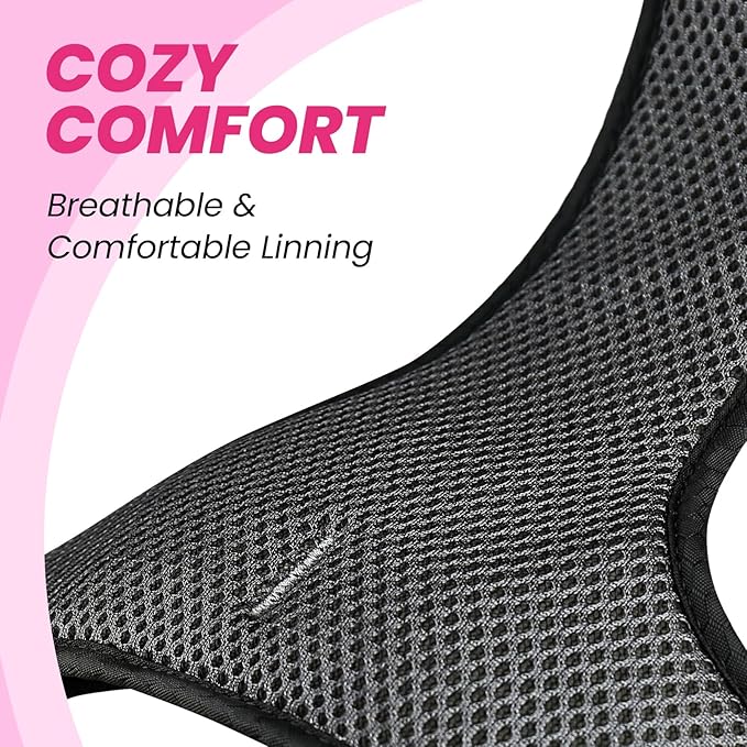 VIVAGLORY Dog Harness Easewalk No Pull Dog Harness with Handle & Front Back Clip for Training Lifting, Easy On Adjustable Padded No Pull for Pet & Puppy, L, Pink