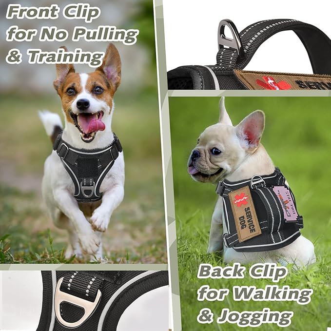 Tactical XS Dog Harness, Military Service Dog Vest with Vertical Handle, No Pull Outdoor Training Small Puppy Vest Chihuahua Harness (Black, XS)