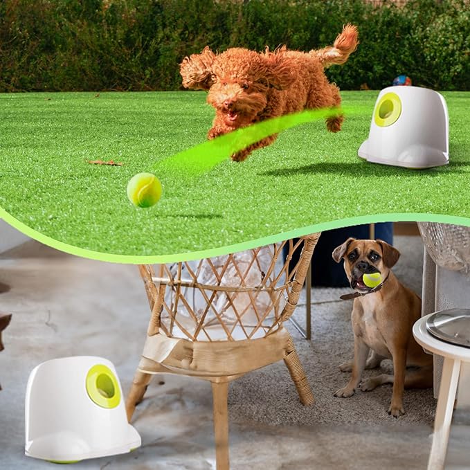 ALL FOR PAWS Automatic Ball Launcher for Dogs Interactive Puppy Pet Ball Indoor Thrower Fetch Machine, 3 Balls Included (2 inch) for Small to Medium Dogs