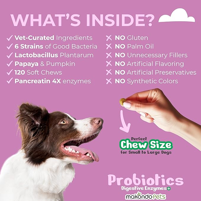 Probiotics for Dogs - 120 Dog Probiotics Chews - Digestive Enzymes & Pumpkin - Support Gut Health, Gas, Diarrhea & Constipation Relief - Itchy Skin, Yeast Balance, Allergies - Pet Advanced Supplements