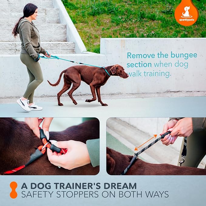 SparklyPets Multifunctional Bungee Hands Free Leash with Detachable Slip Lead – Crossbody & Waist Leash for Dog Walking, Medium & Large Breeds (Teal)