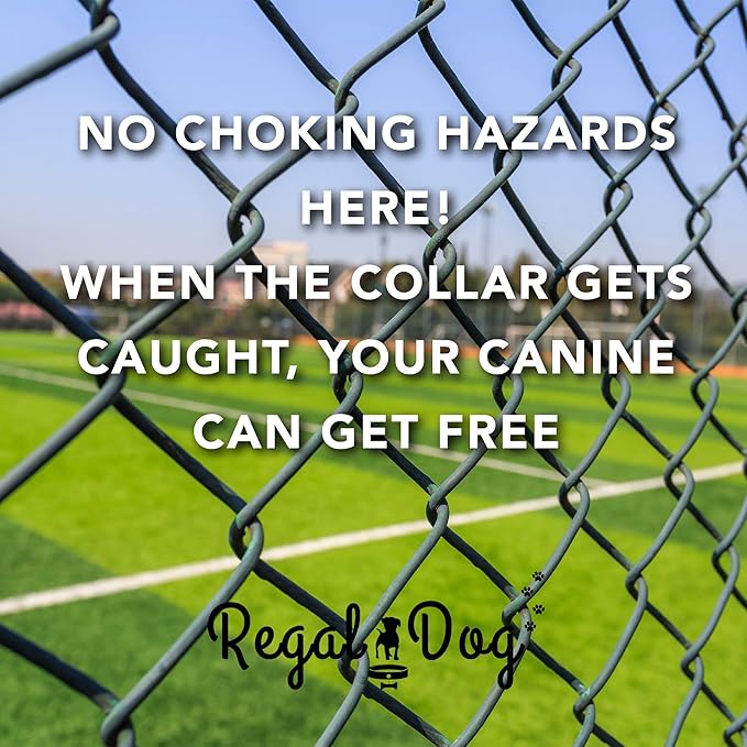 Regal Dog Products Large Yellow Reflective Dog Collar with Custom Engraved Name Plate and Heavy Duty Center Ring | Waterproof Biothane Personalized Dog Collars - Other Sizes for Small & Medium Dogs