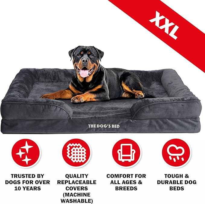 The Dog’s Bed, Orthopedic Standard Foam Waterproof Dog Bed with Standard Support, XXL Grey Plush, Waterproof, Supportive Dog Bed with Replaceable Covers, Veterinary Approved