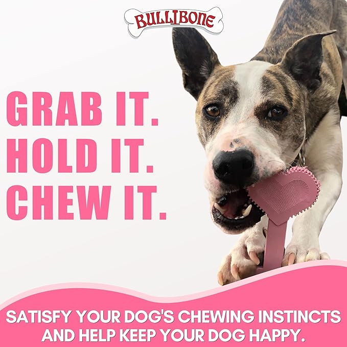 Bullibone Nylon Dog Chew Toy for Aggressive Chewers - Dental Hygiene Bone with Peppermint Flavor, Durable Tough Chew Toys for Large Dogs, Indestructible Dog Bone - Single