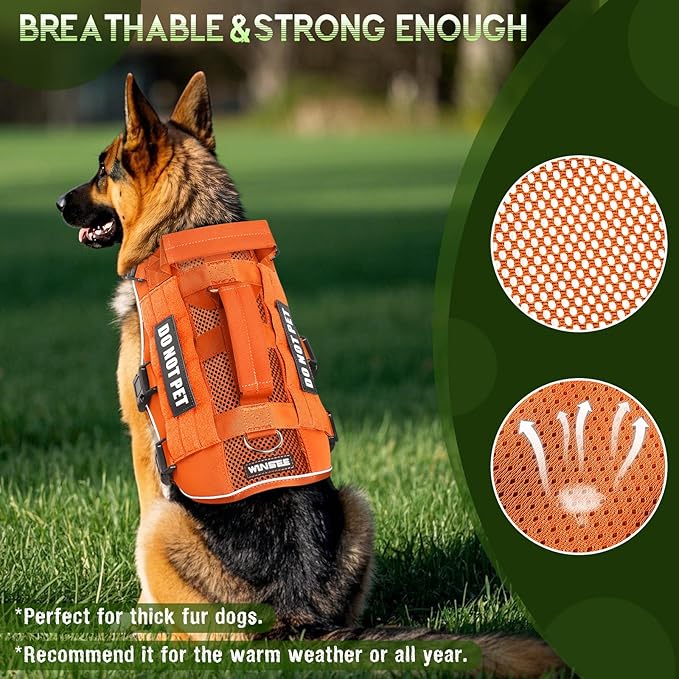 WINSEE Mesh Dog Harness with 10 Pet Patches for Medium Service Dog in Training, Breathable Tactical Molle Vest with Double Handle, Reflective Military Pet Vest for Walking Hiking