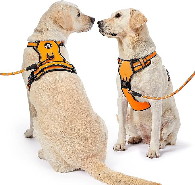 NESTROAD No Pull Dog Harness,Adjustable Oxford Dog Vest Harness with Leash,Reflective No-Choke Pet Harness with Easy Control Soft Handle for Large Dogs(Large,Orange)