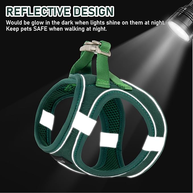 GAMUDA Small Pet Harness Collar and Leash Set, Step in No Chock No Pull Linen Fabric Soft Mesh Dog Vest Harnesses Reflective for Dogs Puppy Cats Kitten Rabbit (Green, XXS)