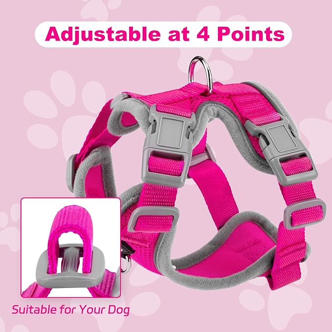 Small Dog Harness and Leash Set, No Pull Adjustable Pet Harness for Small Dogs, Breathable Mesh Rflective Dog Vest Harness (Rose Red, S)