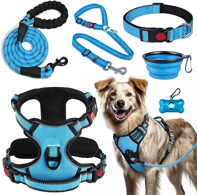 No Pull Dog Harness, Collar & Leash Set | Includes Dog Seat Belt, Collapsible Bowls & Poop Bag Dispenser. Ideal for Training, Walking, Hiking. Fits Small to Large Dogs(Blue-XL)