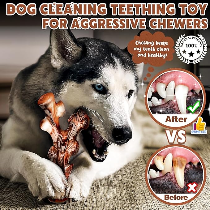 4-Pack Dog Chew Toys for Aggressive Chewers, Long Lasting Heavy Duty Chewing, Boredom and Stimulation for Medium Breeds, Tough Almost Indestructible Dog Bones Teeth Cleaning Toy