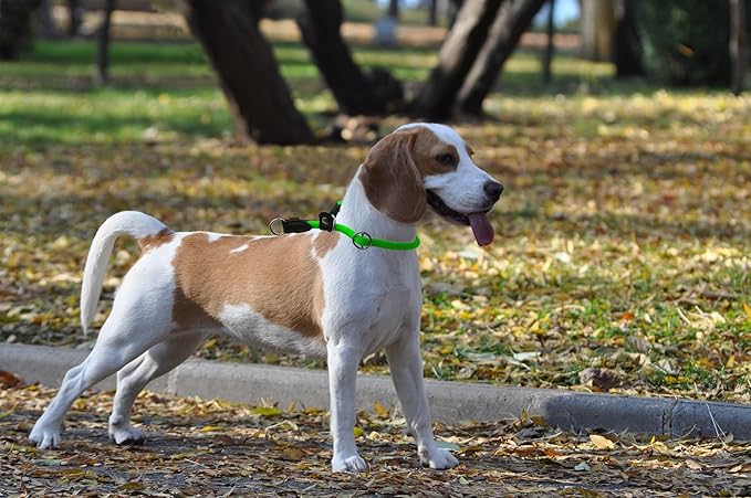 Braided Round Martingale Dog Collar, Training Collar with Slidable Stop Ring and Adjustable Stopper - Ideal for Medium Dogs (M(1/3") - 18" Long, Light Green)