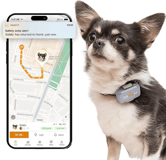 Pawfit Lite for Small Dogs 4g GPS Tracker | Real Time Tracking | Activity Monitoring |Location History | Unlimited Range | Lilac Grey