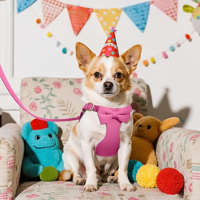 Beirui Cute XXS Dog Harness Set with Three Detachable Bows, Adjustable Step in Dog Harness Collar and Leash Set with Secure Metal Buckle for Daily Walking, Parties & Holiday Outfits(Hot Pink,XXS)