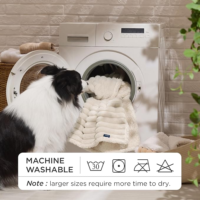 Bedsure Waterproof Dog Blankets for Small Dogs - Soft Puppy Cat Blanket Corduroy Fleece Washable, Cozy Calming Reversible Furniture Protection for Pet Kitten Doggy,25"x35", Cream