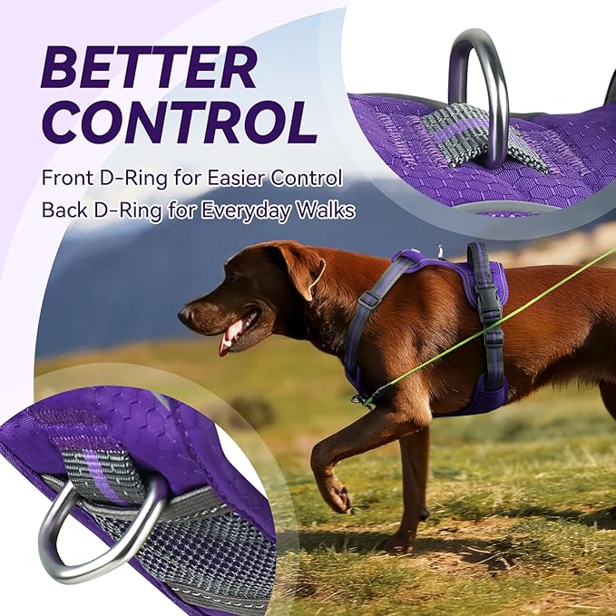 VIVAGLORY Dog Harness Easewalk No Pull Dog Harness with Handle & Front Back Clip for Training Lifting, Easy On Adjustable Padded No Pull for Pet & Puppy, XL, Purple