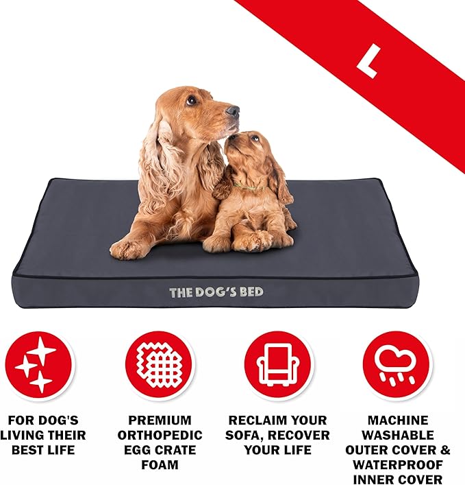 The Dog’s Bed Orthopedic Dog Bed, Large Grey with Black Trim, Waterproof, Supportive Dog Bed with Washable Replaceable Covers,Veterinary Approved