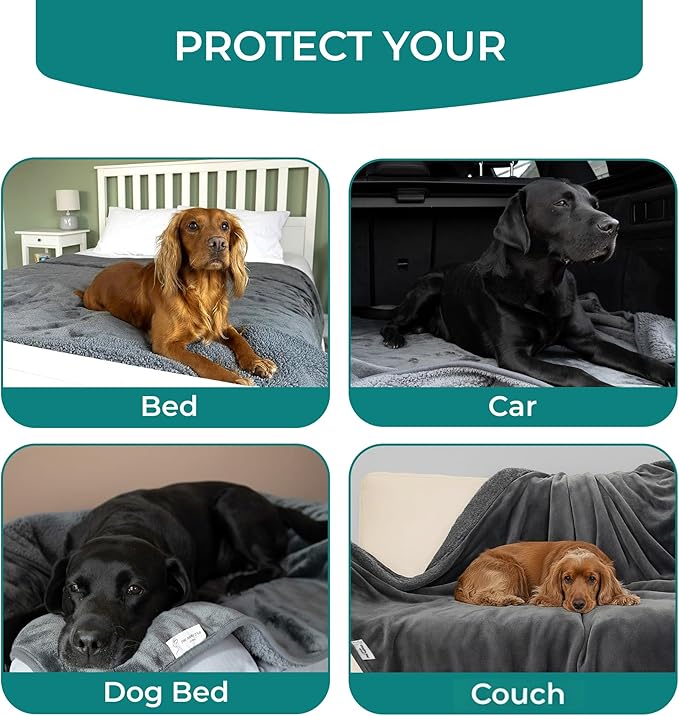 100% Waterproof Blanket for Bed - Soft Fleece Washable Waterproof Dog Blankets for Large Dogs, Pet Blankets for Bed/Couch/Dog Crate, Reversible Fluffy Furniture Protector, 60x79, Dark Gray/Gray
