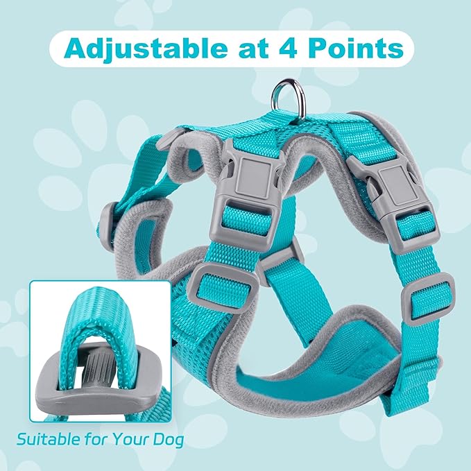 Small Dog Harness and Leash Set, No Pull Adjustable Pet Harness for Small Dogs, Breathable Mesh Rflective Dog Vest Harness (Turquoise, M)