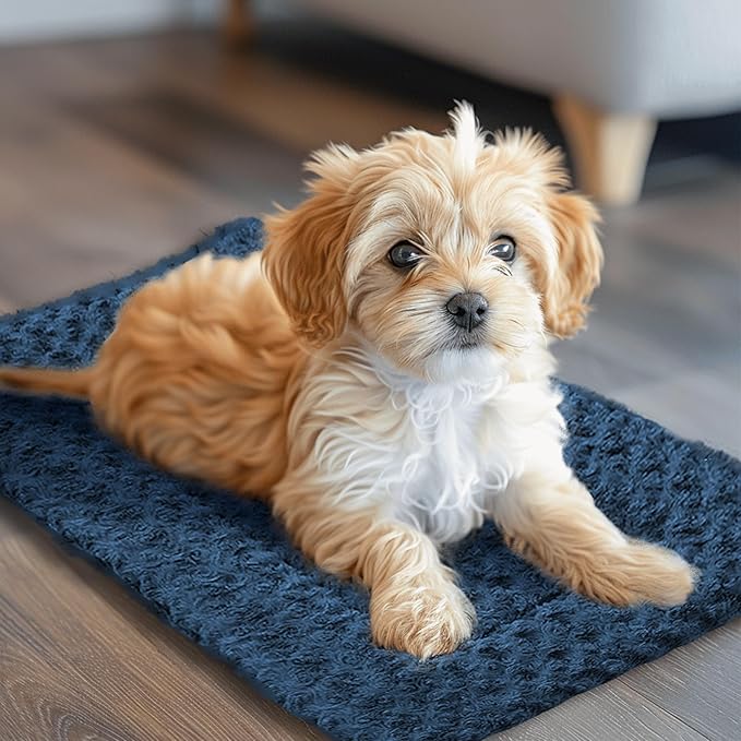 Washable Dog Bed Plush Orthopedic Outdoor Crate Mat with Non-Slip Bottom,Luxe Soft Kennel Pad for Pets, Cozy Cage Cushion & Pet Sleeping Mattress Large Sized,Medium,Small Dogs,24 x 18 inch,Blue