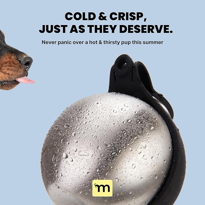 Malsipree 2-in-1 Portable Dog Water Bottle & Bowl for Small Dogs - Leak Proof & Insulating - Travel Water Dispenser - Stainless Steel Bottle & Silicone Bowl - Walking & Hiking (10 fl oz, Black)