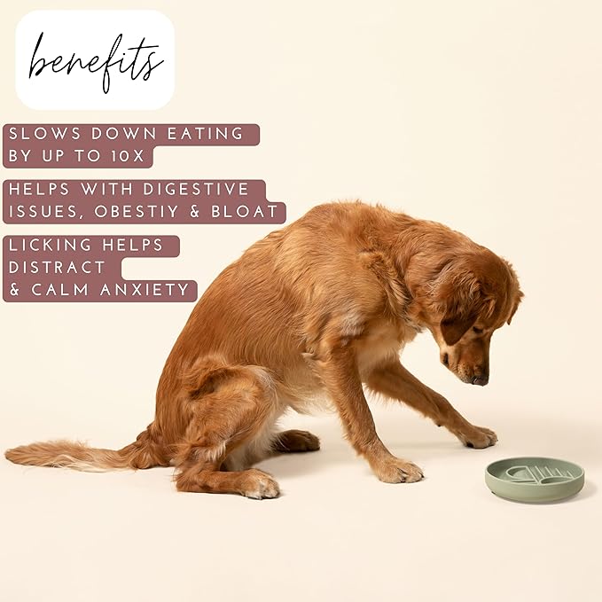 Should We Go? Slow Feeder for Dogs & Puppies, The Slowdown Bowl Silicone Slow Eating, Modern Lick Mat Design, Reduces Gulping, Fits 2 Cups, 7.5” Across x 1.5” Tall, Mealtime Challenge, Medium-Charcoal