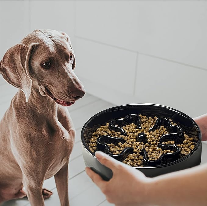 Slow Feeder,Ceramic-Slow Feeder Dog Bowls,Puzzle Food Bowl Maze,2.5 Cups Slow Feed Dog Bowl for Medium and Large Breed Dogs,Black