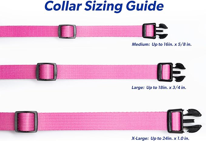 High Tech Pet MS-5 Collar with Deluxe Adjustable Strap (Pink, Large)