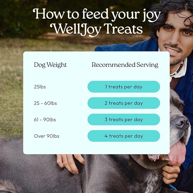WellJoy Dog Treat Joint+ GutBoost | Glucosamine | Healthy Joints & Cartilage | Dual-Benefit GutBoost Formulation | Vet Formulated | Made in USA | Made with Real Shredded Chicken | 30 Soft Chews