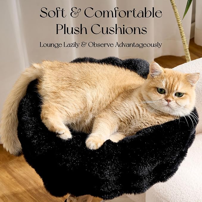 Solid Wood Cat Tree, Modern Cat Tree Tower for Large Indoor Cats, Natural Real Pear Wooden Aesthetic Cat Condo with Scratching Post for Adult Kittens-Black