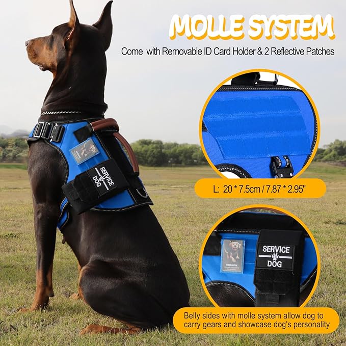 Service Dog Vest - HEYCAHVA Tactical Dog Harness Full Metal Buckles Dog Vest for Large Medium Dog Reflective No Pull Dog Harnesses with Leather Handle, Hook & Loop for Hiking Training (Blue, L)