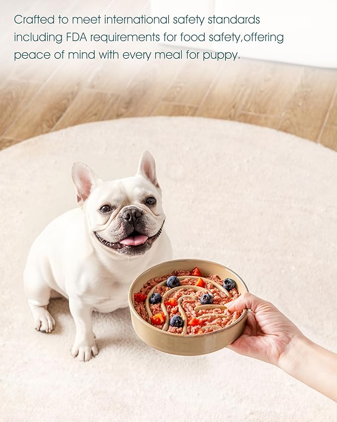 vancasso Slow Feeder Dog Bowl, 0.6 Cup Ceramic Slow Feeding Food Dish for Small Breed, Puzzle Dog Food Bowl for Fast Eater, Brown