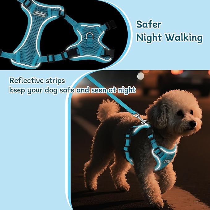 Small Dog Harness and Leash Set, Reflective Soft Breathable Mesh Vest, 3 Buckles, Adjustable Neck and Chest,Step in Dog Harness for Walking, Running, Training, Turquoise, M