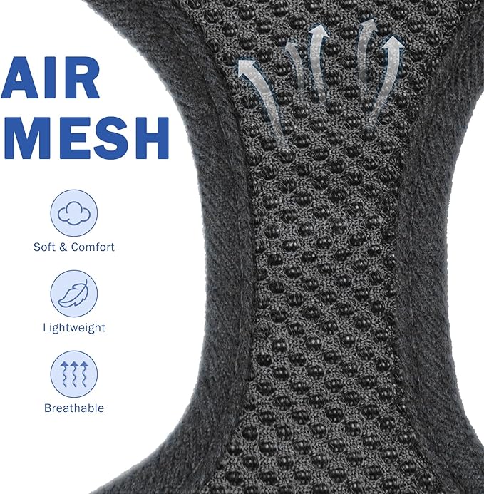 SCENEREAL No Pull Dog Harness Collar and Leash Set Small Medium Sized Dog, Soft Mesh Step in Puppy Harnesses, No Chock Plaid Adjustable Pet Vest for Outdoor Walking Training and Running, Black XS