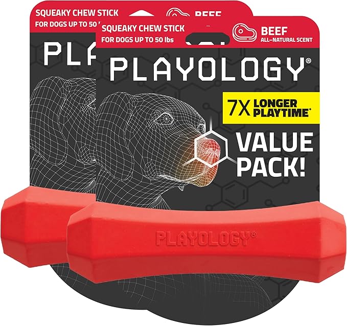 Playology Dog Toys | Durable Squeaky Chew Stick for Dogs | Medium Beef Scented Toy, Value 2-Pack - Easy to Clean and Made from Non Toxic Materials